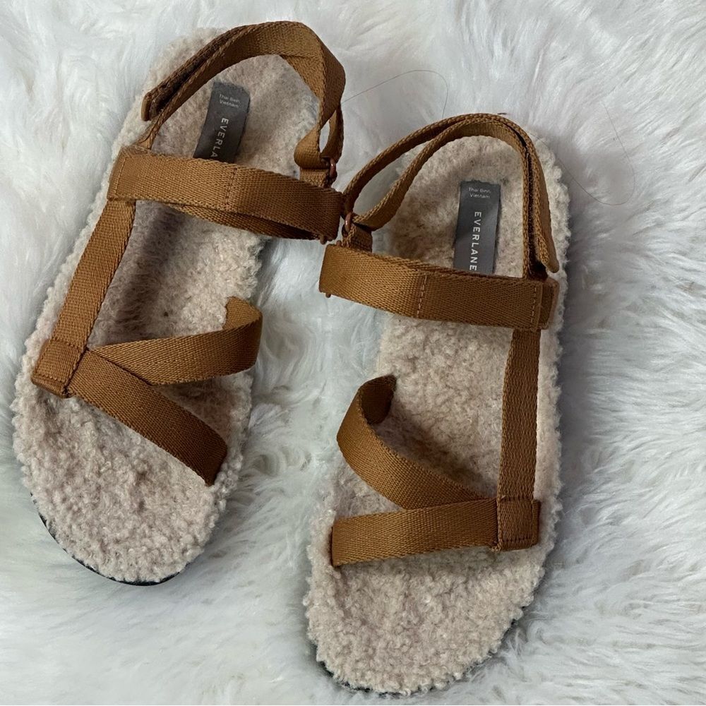 Everlane Brown Minimalist Sandals